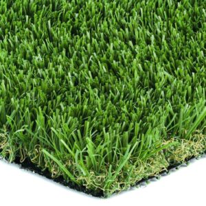 Olive-92 Stemgrass (San Leandro, CA)