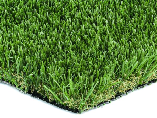 Olive-92 Stemgrass (San Leandro, CA)