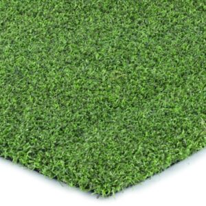 Pro Putt-44 (San Leandro, CA)