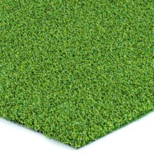 Putt-46-BiColor (San Leandro, CA)