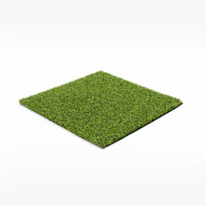 Pro Putt 55 (San Leandro, CA)
