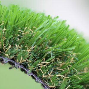 Emerald-92 Stemgrass (San Leandro, CA)