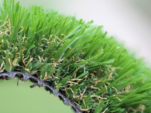 Emerald-92 Stemgrass (San Leandro, CA)
