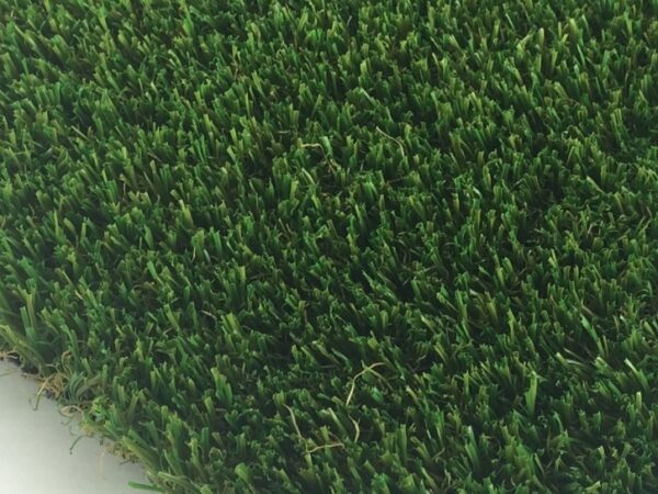 Pet Turf (San Leandro, CA)