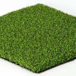 Eco 85 Silver Putt (Livermore, CA)