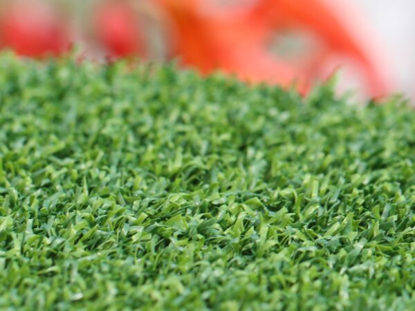 Putt-60-BiColor (San Leandro, CA)