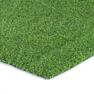Performance Putt
