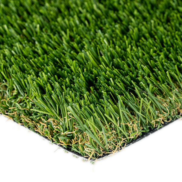 Casecade Fescue Light