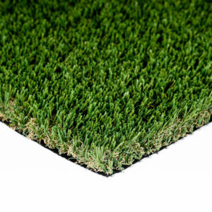 Casecade Fescue