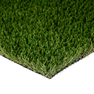 Balboa Fescue Pro
