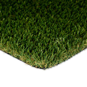 Everglade Fescue Light / Spring Light