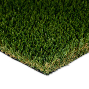 Everglade Fescue Pro / Spring Pro