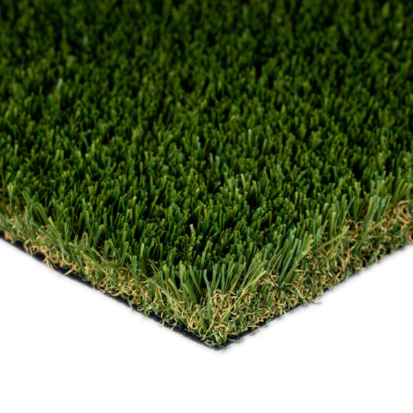 Everglade Fescue Pro / Spring Pro