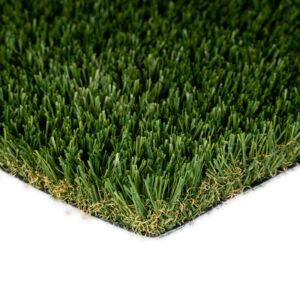 Everglade Fescue / Spring