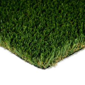 Playground Fescue / Spring